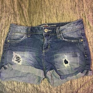 Arizona Jean Shorts